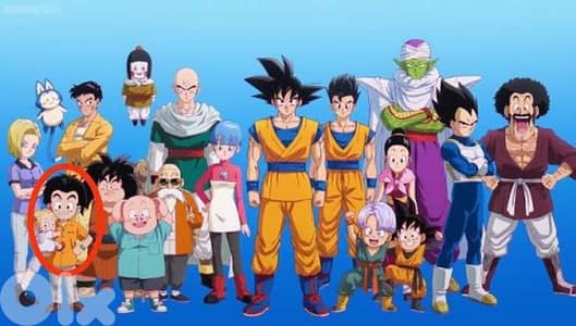 Dragon Ball Z books in french