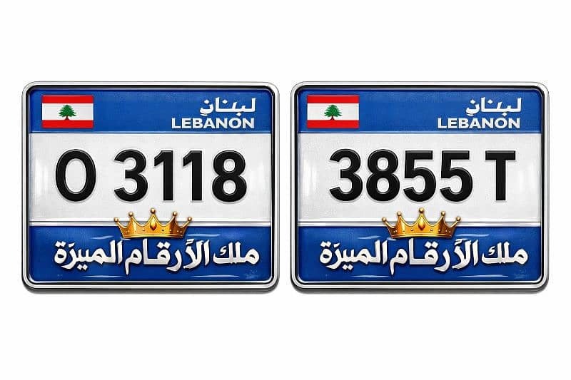 لوحات مميزة 5