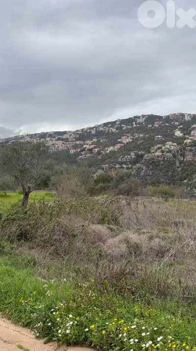 Land for sale in Aarbanieh