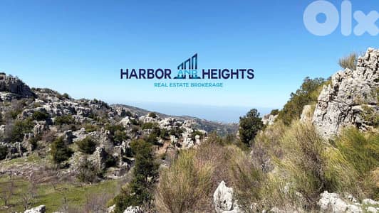 Land for Sale in Douma - أرض للبيع في دوما