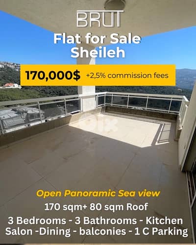 Amazing spacious apartment for sale in Sheileh open panoramic views