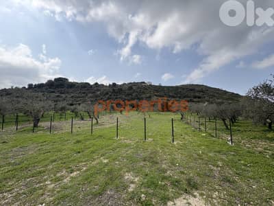 Flat Land In Kfifan-Batroun For Sale - CPJGN22