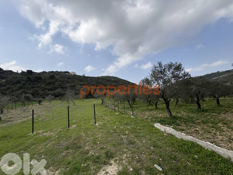 Flat Land In Kfifan-Batroun For Sale - CPJGN22 1