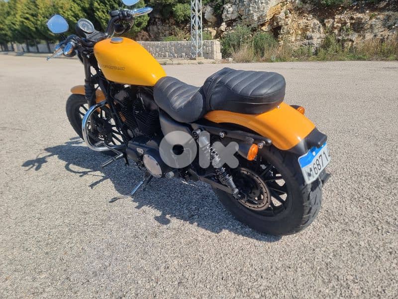 Harley Spotster 883 1