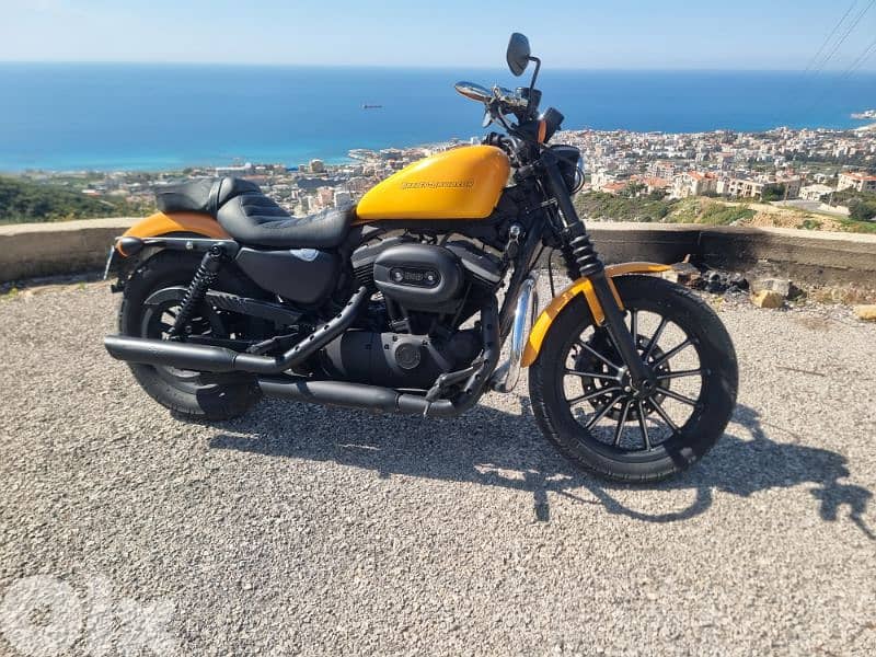 Harley Spotster 883 3