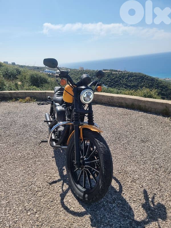 Harley Spotster 883 5