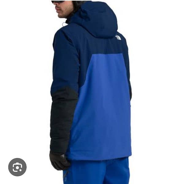 the north face apex flex GTX SNOW JACKET 1