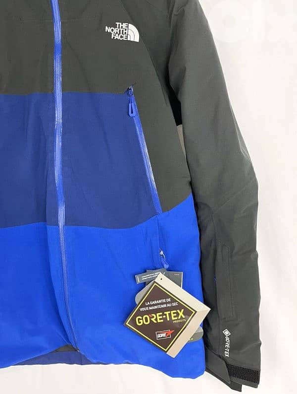 the north face apex flex GTX SNOW JACKET 2