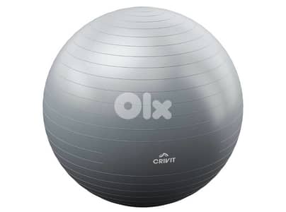 CRIVIT Gym Ball Lidl 65cm