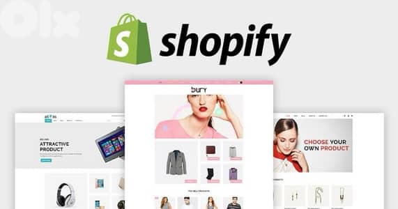 Shopify Web Developer