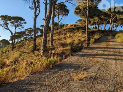 Douar Land 2880 sqm Panoramic Views أرض دوار بمساحة 2880 متر مربع