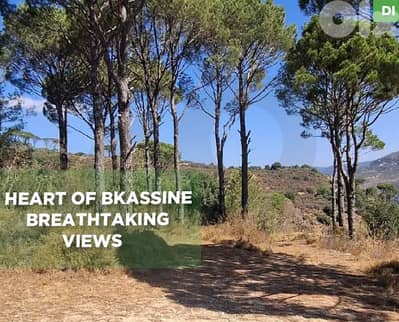 2980 SQM Land for Sale in Bkassine- Jezzine/بكاسين - جزين REF#DI125888