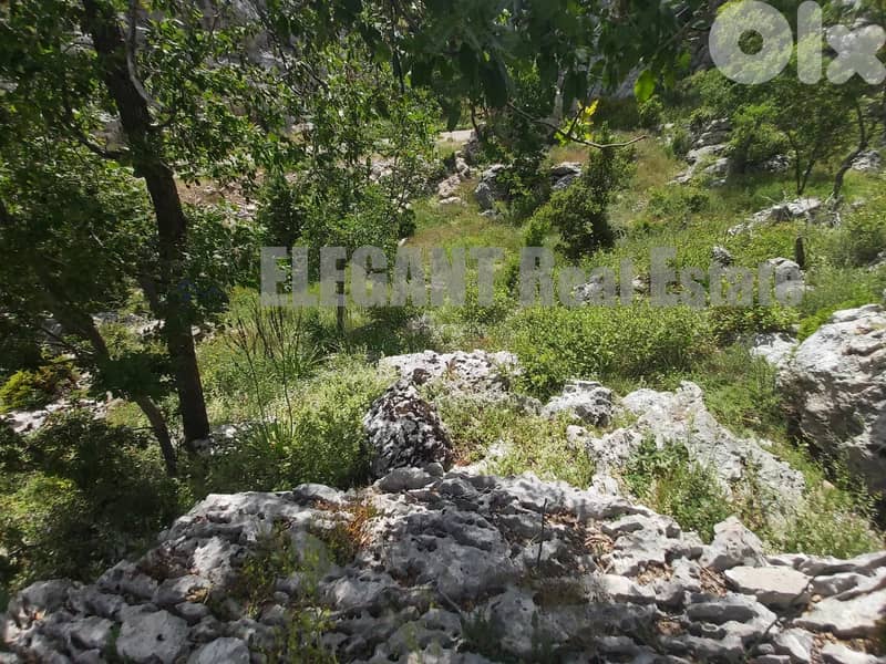 Amazing Land | 1550 Sq. m | Ehmej 1