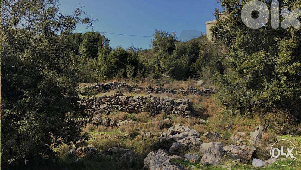 PRIME LAND in Ajaltoun with AMAZING Viewأرض في عجلتون ١٥٥٠ م٢ 6