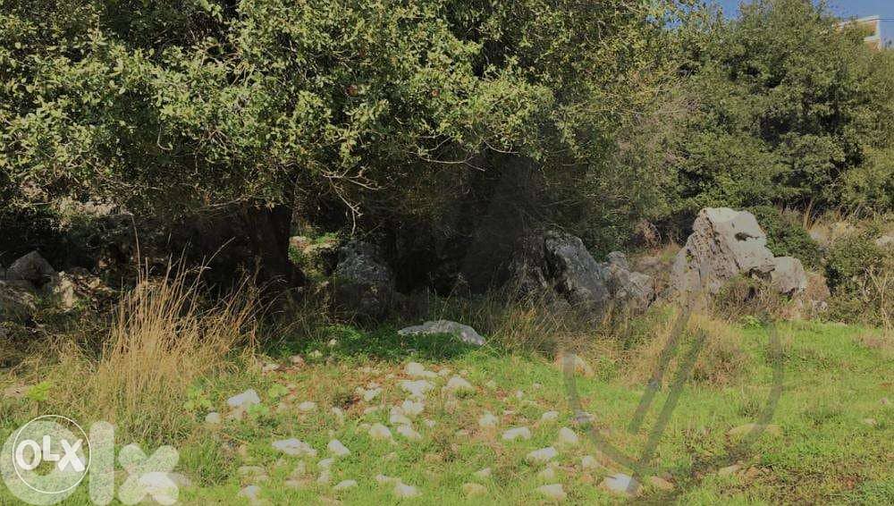 PRIME LAND in Ajaltoun with AMAZING Viewأرض في عجلتون ١٥٥٠ م٢ 7