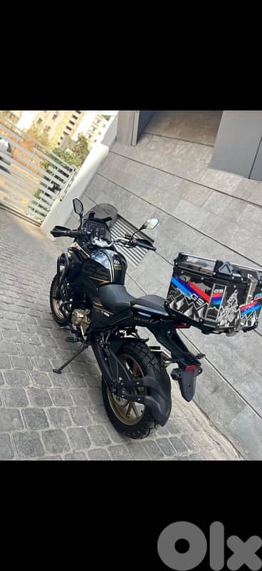 dockers meshye 5000km  81679972