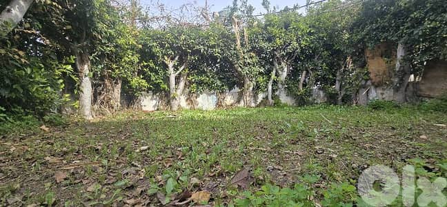 ذوق مصبح مفروش مع كل المصاريف مجانا فقط 350$ مع كهرباء مولد انترنت و