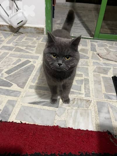 9 months verry frendly