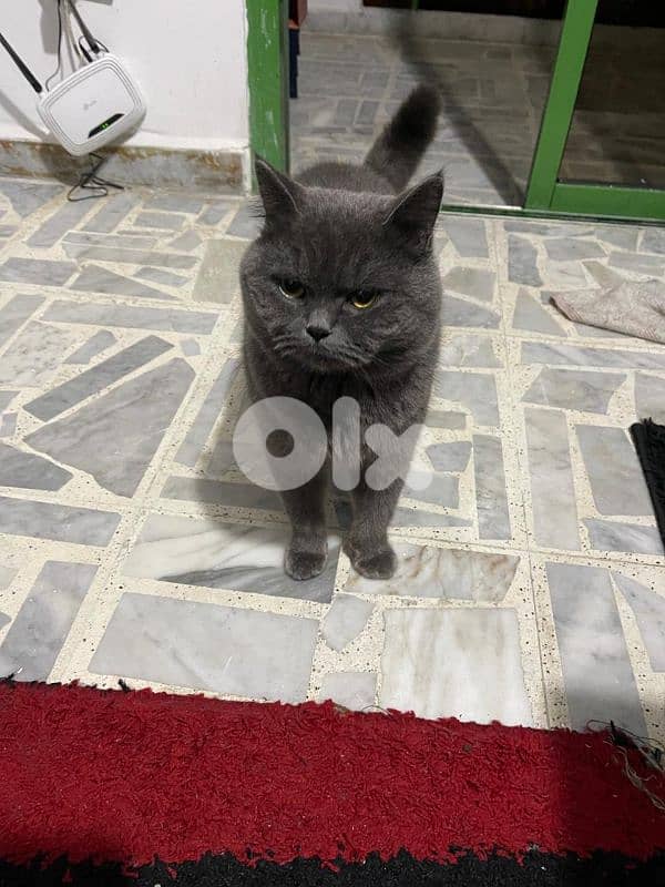 9 months verry frendly 1