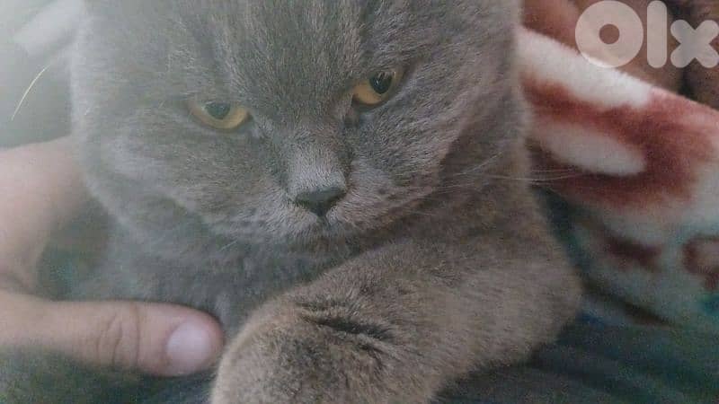 9 months verry frendly 2