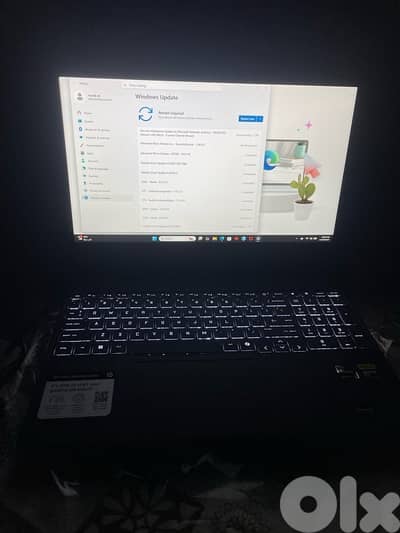 Hp victus + full setup