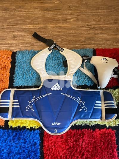 taekwondo protection hogu and groin protection