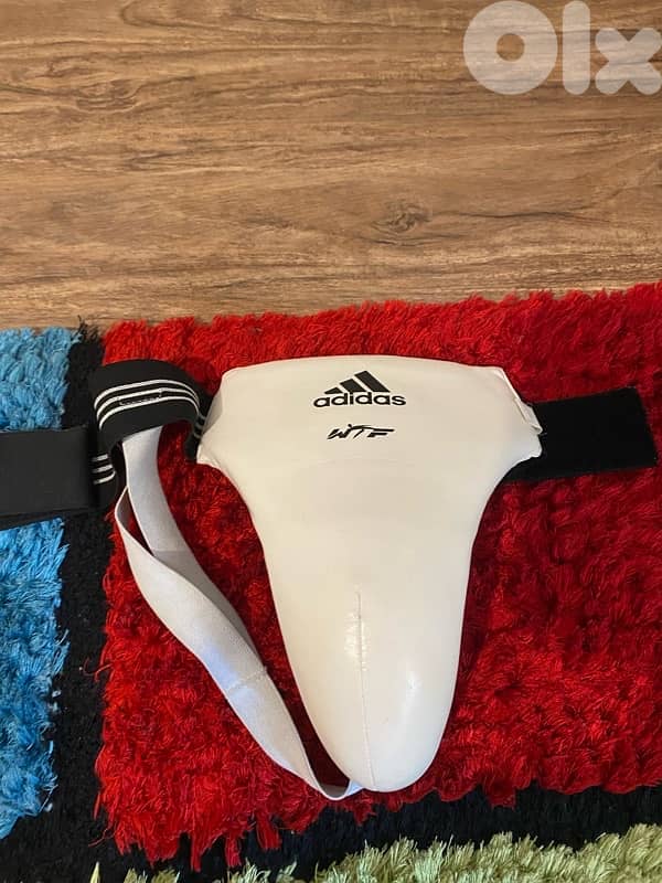 taekwondo protection hogu and groin protection 1