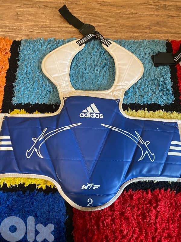 taekwondo protection hogu and groin protection 2