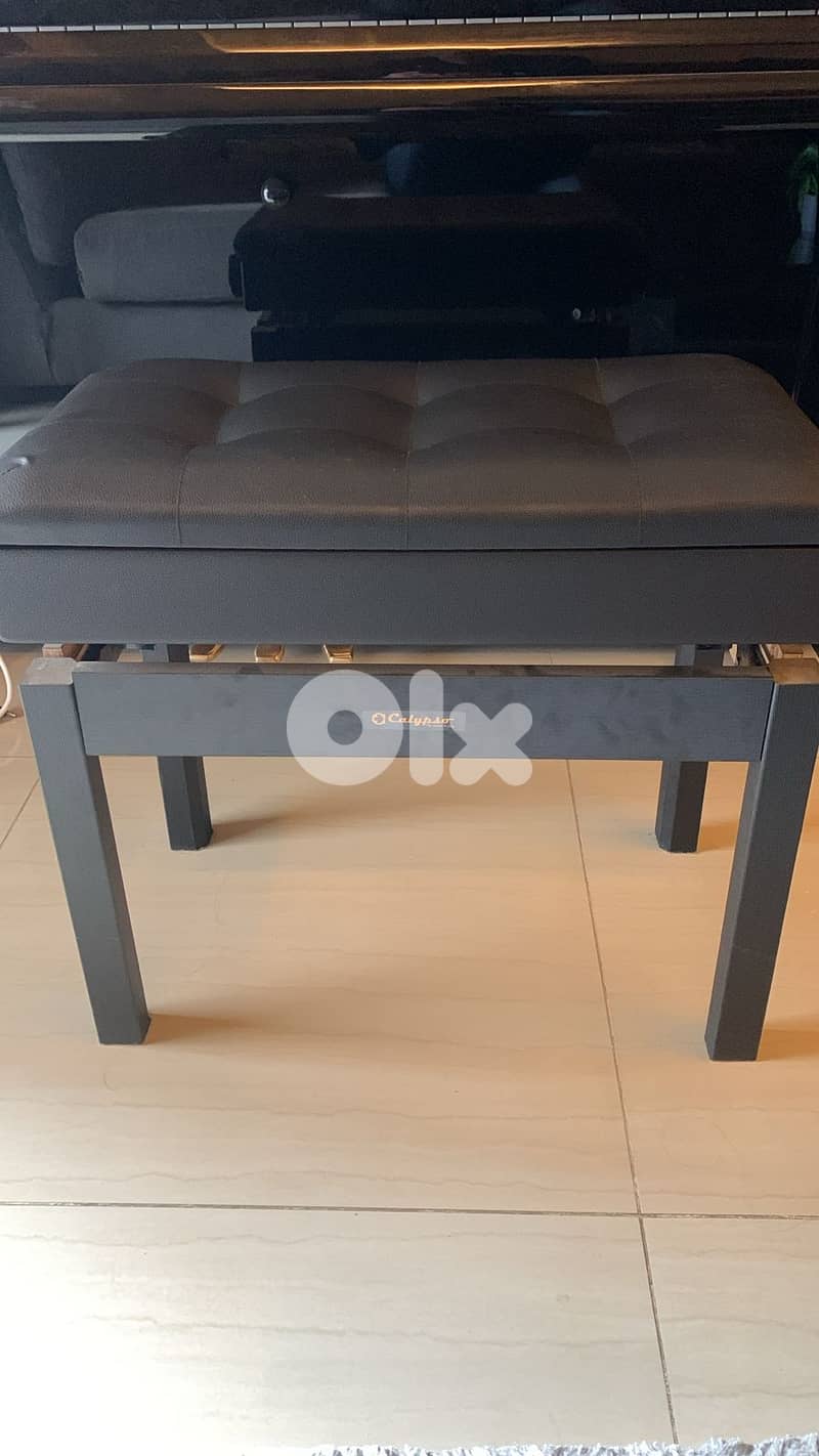 Piano Franz SANDNER 3