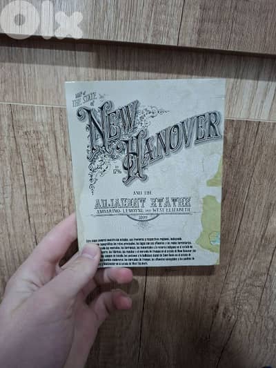 red dead redemption 2 map original (rare)