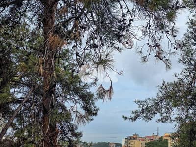 Prime Location Land in Qonnabet Broumana with Sea and Mountain View