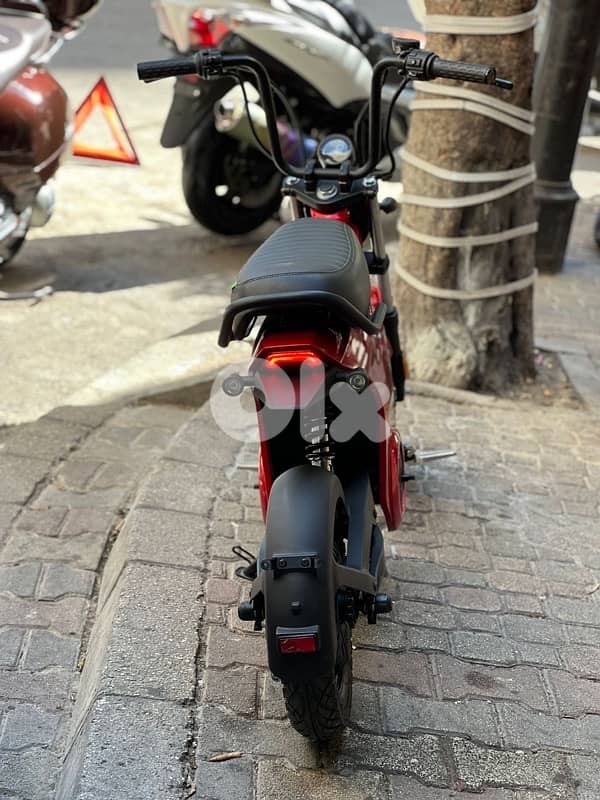 honda Dax 400 watts electric 6