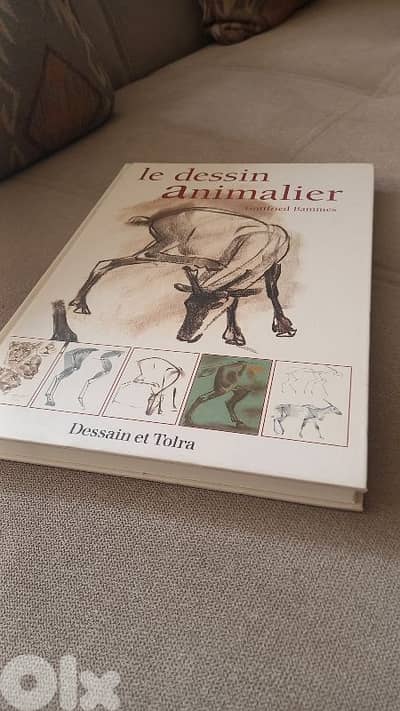 Le dessin animalier - dessain et tolra (technical animal drawing)