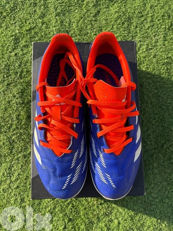 adidas predator (42) 1