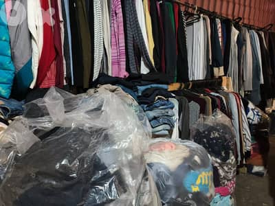 european bele سعر مغري