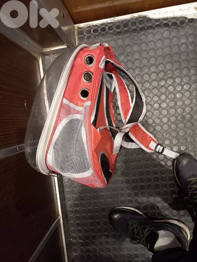 بيروت نويري