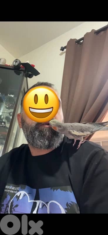 enteye karawan habache mrawada 1