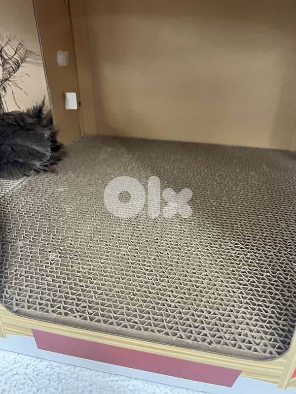 cat scratchers 3 count 4