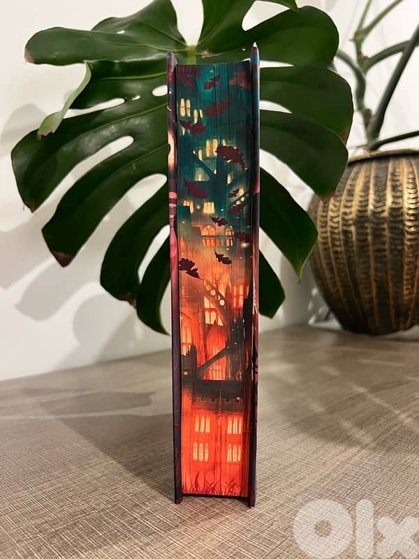 Immortal Consequences - Special Edition from Fairyloot 2