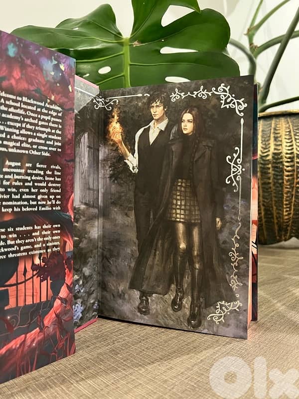 Immortal Consequences - Special Edition from Fairyloot 4