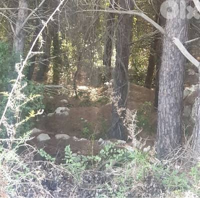 1485m2 Land in cornet chehwan