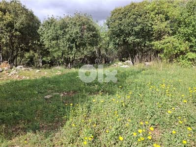 1000m2 Land in Cornet chehwan