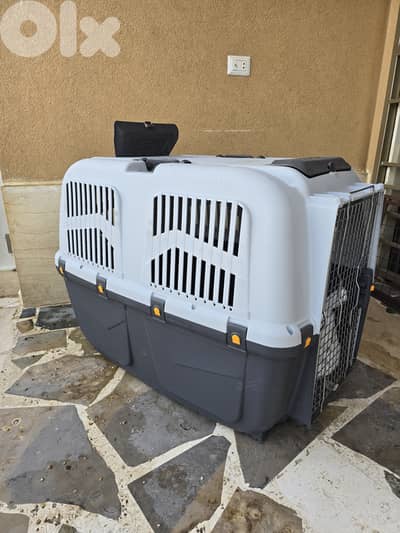 Big dog crate and alot of accessories in great condition