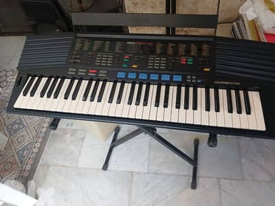 اورك شبه جديد