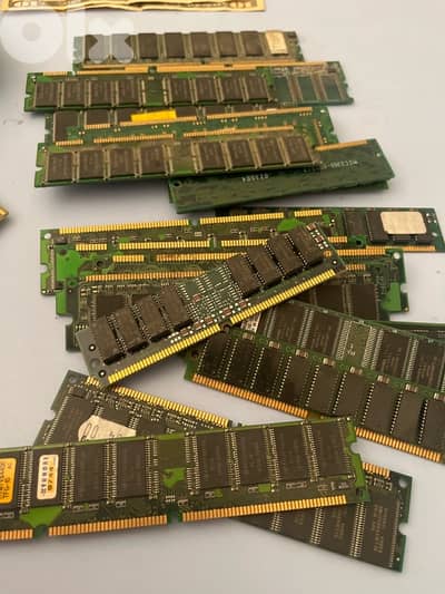 12 Old ram