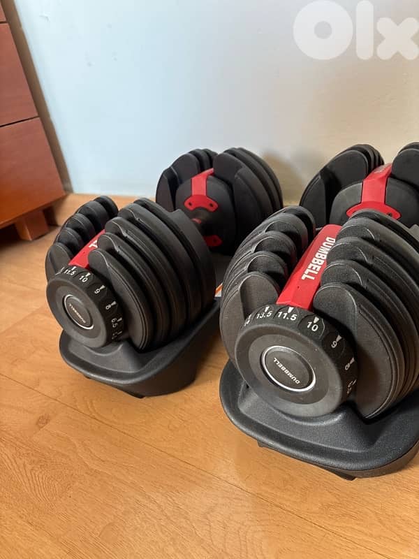 adjustable dumbells 1