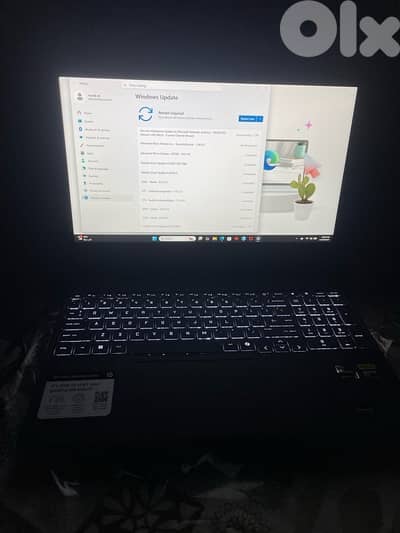 Hp victus + full setup