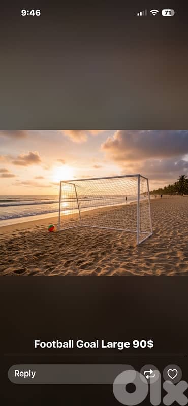 football goal/net