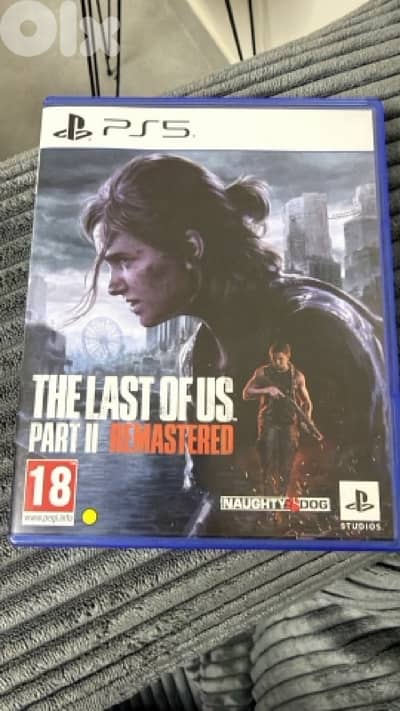 The Last Of Us 2 Remastered