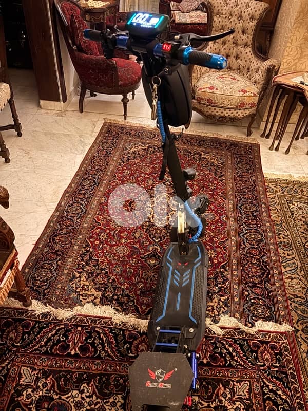 Electric scooter rohan wings 1